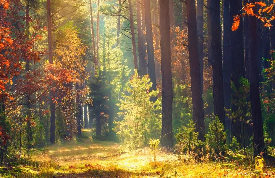 How to Extend the Summer Vibes into September